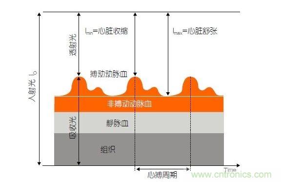 PPG測(cè)量中檢測(cè)器信號(hào)的產(chǎn)生。照射皮膚的光線(I0)被靜脈血或動(dòng)脈血吸收，或反射回檢測(cè)器。信號(hào)的變化分量對(duì)應(yīng)著與心跳同步變化的動(dòng)脈血流量。這個(gè)信號(hào)的變化周期指示了脈率。最小和最大檢測(cè)器信號(hào)的比值(光電流Imin/Imax)為判斷血氧飽和度提供了依據(jù)。