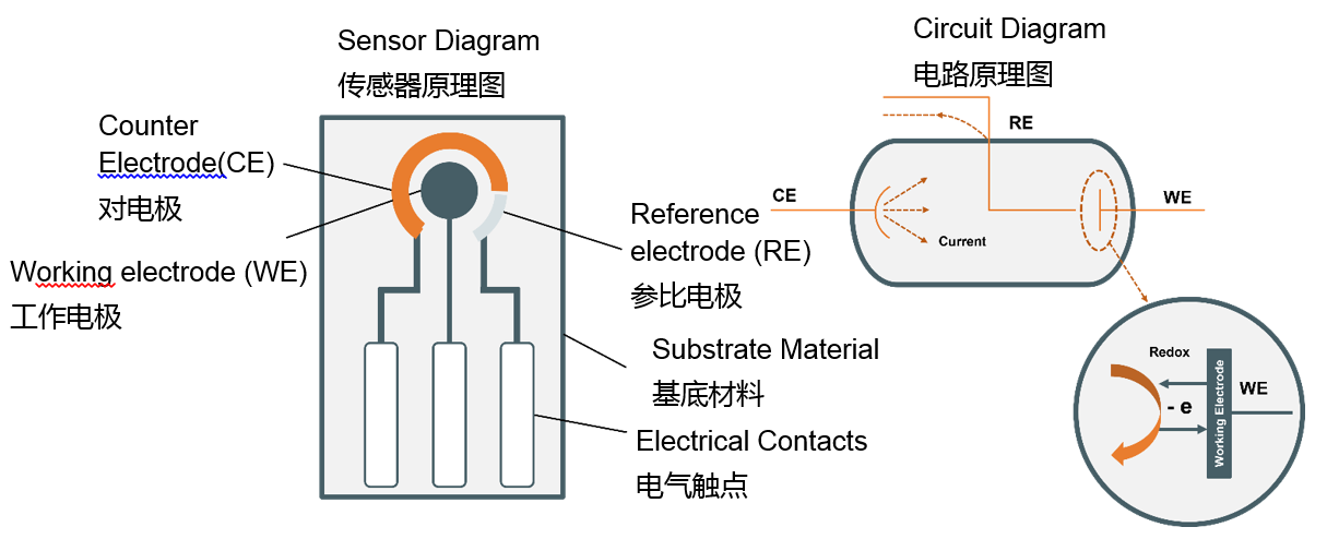 電化學(xué)感知技術(shù)的新時(shí)代