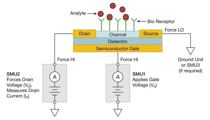 FET 生物傳感器的直流I-V 特性研究